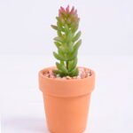 Artificial succulent 5*5*11.5cm succulent plants in terrecotta pot GS-51720078
