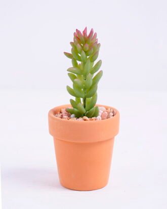 Artificial succulent 5*5*11.5cm succulent plants in terrecotta pot GS-51720078 Succulent YeahFlower is one of Chinese leading OEM manufacturers and exporters , supplying the silk flowers, wholesale artificial trees Artificial succulent 5*5*11.5cm succulent plants in terrecotta pot GS-51720078