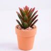 Artificial succulent 5*5*9 Artificial succulent 5*5*9.6cm succulent plants in terrecotta pot GS-51720080