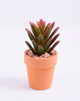 Artificial succulent 5*5*9.6cm succulent plants in terrecotta pot GS-51720080 Succulent YeahFlower is one of Chinese leading OEM manufacturers and exporters , supplying the silk flowers, wholesale artificial trees Artificial succulent 5*5*9.6cm succulent plants in terrecotta pot GS-51720080