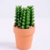 Artificial succulent 5*5*9 Artificial succulent 5*5*9.6cm succulent plants in terrecotta pot GS-51720081