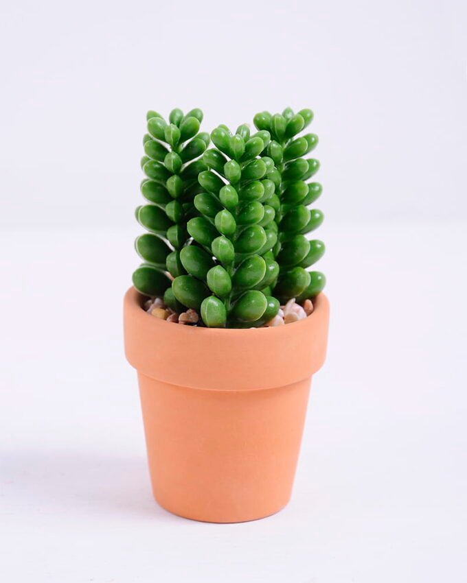 Artificial succulent 5*5*9 Artificial succulent 5*5*9.6cm succulent plants in terrecotta pot GS-51720081