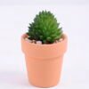 Artificial succulent 5*5*8cm succulent plants in terrecotta pot GS-51720086 1 Artificial succulent 5*5*8cm succulent plants in terrecotta pot GS-51720086