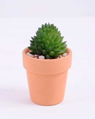 Artificial succulent 5*5*8cm succulent plants in terrecotta pot GS-51720086 Succulent YeahFlower is one of Chinese leading OEM manufacturers and exporters , supplying the silk flowers, wholesale artificial trees Artificial succulent 5*5*8cm succulent plants in terrecotta pot GS-51720086