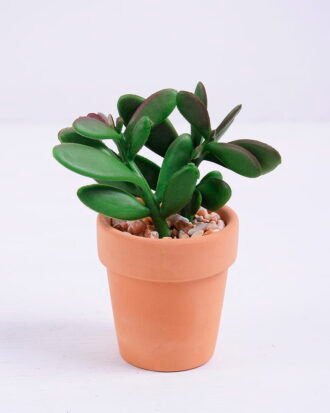 Artificial succulent 7.8*6.5*9.7cm succulent plants in terrecotta pot GS-51720087 Succulent YeahFlower is one of Chinese leading OEM manufacturers and exporters , supplying the silk flowers, wholesale artificial trees Artificial succulent 7.8*6.5*9.7cm succulent plants in terrecotta pot GS-51720087