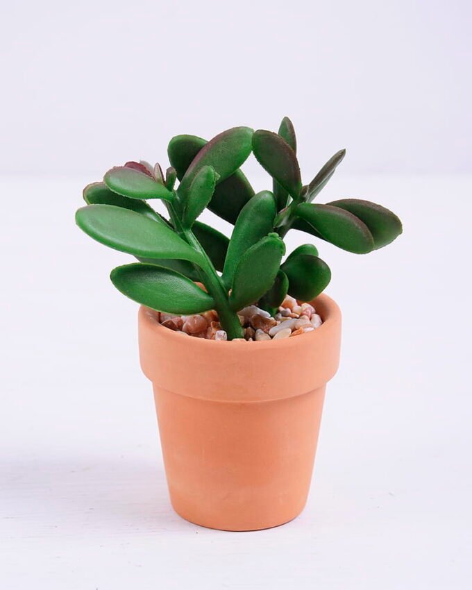 Artificial succulent 7.8*6.5*9.7cm succulent plants in terrecotta pot GS-51720087
