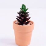 Artificial succulent 5*5*9.7cm succulent plants in terrecotta pot GS-51720089