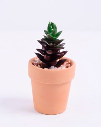 Artificial succulent 5*5*9.7cm succulent plants in terrecotta pot GS-51720089 Succulent YeahFlower is one of Chinese leading OEM manufacturers and exporters , supplying the silk flowers, wholesale artificial trees Artificial succulent 5*5*9.7cm succulent plants in terrecotta pot GS-51720089
