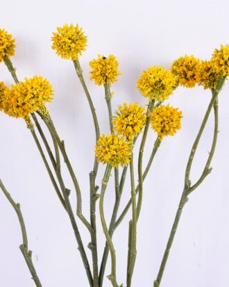 Artificial Flower 16*66CM Berry Spray*14 GS-26220011-Y2 Single Flowers YeahFlower is one of Chinese leading OEM manufacturers and exporters , supplying the silk flowers, wholesale artificial trees Artificial Flower 16*66CM Berry Spray*14 GS-26220011-Y2