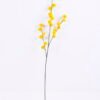 Artificial Flower 13*69CM Berry Spray*21 GS-26220010-Y1
