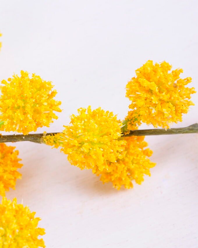 Artificial Flower 13*69CM Berry Spray*21 GS-26220010-Y1