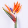 Artificial Flower 20*115CM Bird Of Paradise(L) GS-50520015-O1