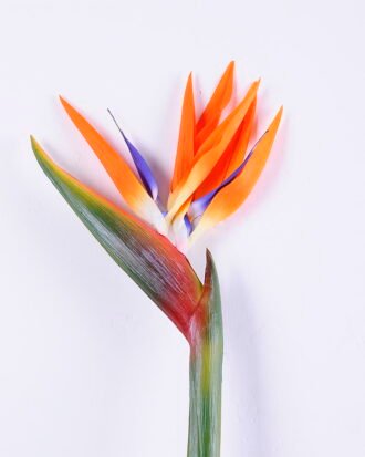 Artificial Flower 20*115CM Bird Of Paradise(L) GS-50520015-O1