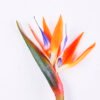 Artificial Flower 16*92CM Bird Of Paradise(S) GS-50520016-O1