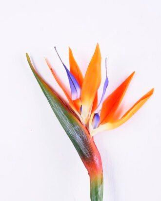 Artificial Flower 16*92CM Bird Of Paradise(S) GS-50520016-O1