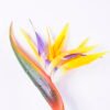 Artificial Flower 16*92CM Bird Of Paradise(S) GS-50520016-Y1