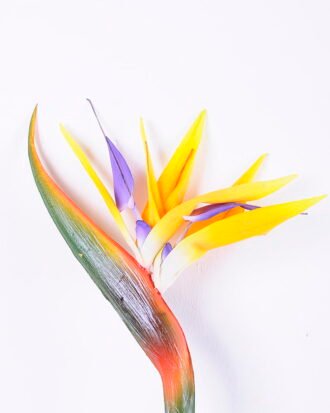 Artificial Flower 16*92CM Bird Of Paradise(S) GS-50520016-Y1