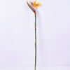 Artificial Flower 16*92CM Bird Of Paradise(S) GS-50520016-Y1