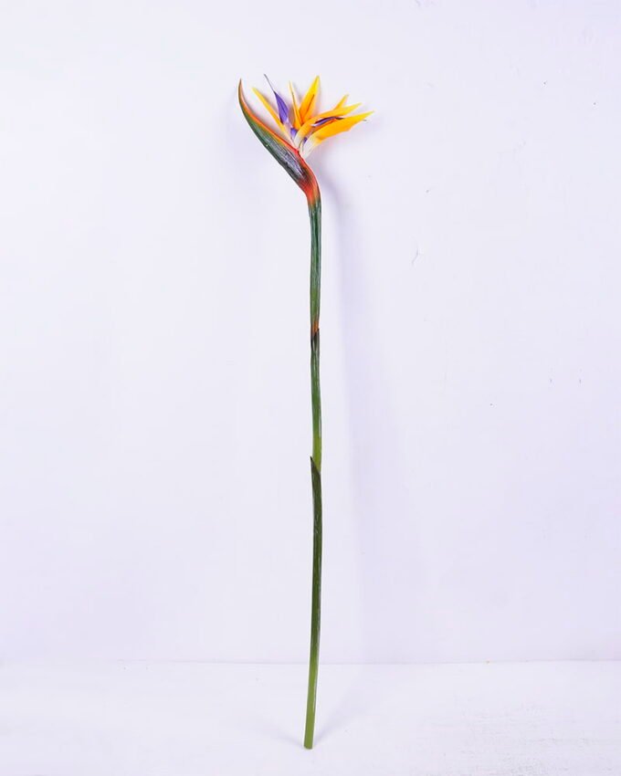 Artificial Flower 16*92CM Bird Of Paradise(S) GS-50520016-Y1