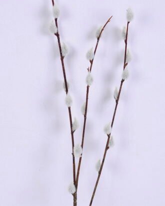 Artificial Flower 9*75CM Comospore spray GS-53620001 Single Flowers YeahFlower is one of Chinese leading OEM manufacturers and exporters , supplying the silk flowers, wholesale artificial trees Artificial Flower 9*75CM Comospore spray GS-53620001