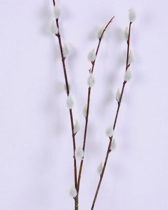 Artificial Flower 9*75CM Comospore spray GS-53620001