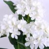 Artificial Flower 24*79CM Hydrange Spray*3 GS-128J20008-W1