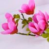 Artificial Flower 19*84CM Mangnolia Spray*5 GS-05520052-R1