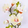 Artificial Flower 19*84CM Mangnolia Spray*5 GS-05520052-W1