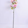Artificial Flower 19*84CM Mangnolia Spray*5 GS-05520052