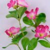 Artificial Flower 20*48CM Morning Glory Spray GS-35120018-R1