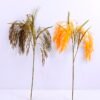 Artificial Flower 24*85CM Rice in the husk*6 GS-09820006
