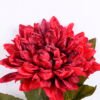 Artificial Flower 16*62CM Singel Dahlia GVZ-20-006-R1