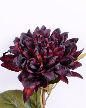 Artificial Flower 16*62CM Singel Dahlia GVZ-20-006-R2 Single Flowers YeahFlower is one of Chinese leading OEM manufacturers and exporters , supplying the silk flowers, wholesale artificial trees Artificial Flower 16*62CM Singel Dahlia GVZ-20-006-R2