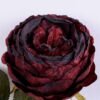 Artificial Flower 14*61CM Singel Rose GVZ-20-002-R2