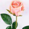 Artificial Flower 10*54CM Singel rose GS-59220014-P2