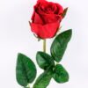 Artificial Flower 10*54CM Singel rose GS-59220014-R1