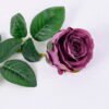 Artificial Flower 18*54CM Singel rose GS-59220015-Z1