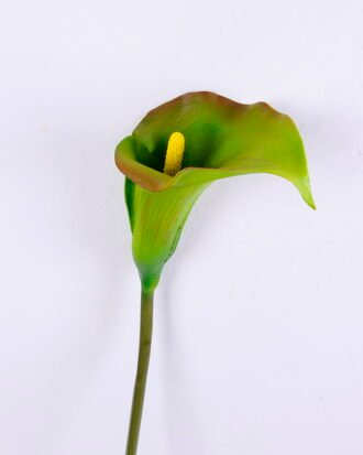 Artificial Flower 17*84CM Single Callalily GS-50519007 Single Flowers YeahFlower is one of Chinese leading OEM manufacturers and exporters , supplying the silk flowers, wholesale artificial trees Artificial Flower 17*84CM Single Callalily GS-50519007