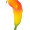 Artificial Flower 8*61CM Single Callalily GS-50520007