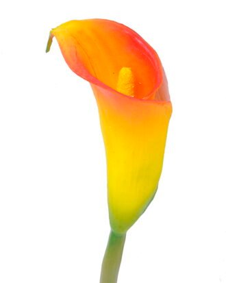 Artificial Flower 8*61CM Single Callalily GS-50520007 Single Flowers YeahFlower is one of Chinese leading OEM manufacturers and exporters , supplying the silk flowers, wholesale artificial trees Artificial Flower 8*61CM Single Callalily GS-50520007