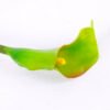 Artificial Flower 8*50CM Single Callalily GS-50520008