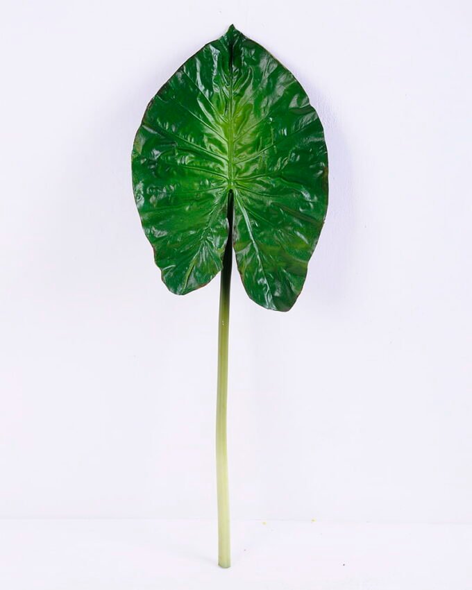 Artificial Flower 19.5*57CM Single Leaf(S) GS-50520010