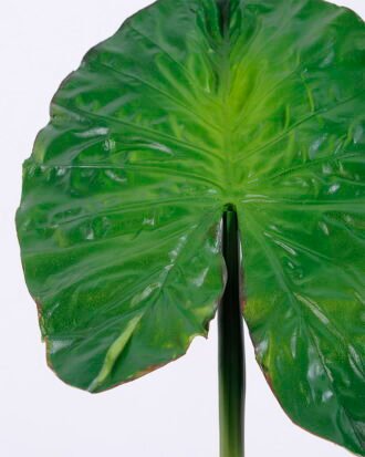 Artificial Flower 19.5*57CM Single Leaf(S) GS-50520010