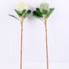 Artificial Flower 21*73CM Single Protea GS-09820014
