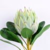 Artificial Flower 21*73CM Single Protea GS-09820014