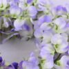 Artificial Flower 20*162CM The Pea Blossom GS-128J19013P12P96-Z2