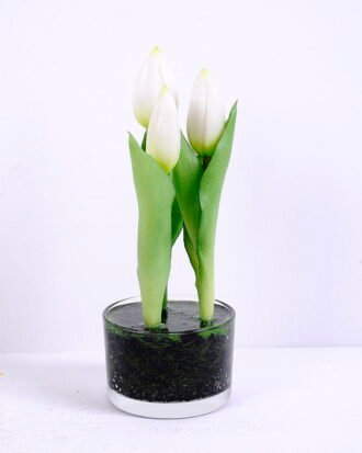 Artificial Flower 7*20CM Tulip*3 in glass pot GS-24520001-W1 Potted Flowers&Plants YeahFlower is one of Chinese leading OEM manufacturers and exporters , supplying the silk flowers, wholesale artificial trees Artificial Flower 7*20CM Tulip*3 in glass pot GS-24520001-W1