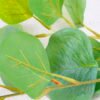 Artificial Plant 22*72CM Eucalyptus spray*2 GS-09820013-G1