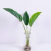 Artificial Plant 38*37*46CM Leaves*3 in glass pot GS-24520003