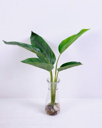 Artificial Plant 38*17*39CM Leaves*5 in glass pot GS-24520004 Potted Flowers&Plants YeahFlower is one of Chinese leading OEM manufacturers and exporters , supplying the silk flowers, wholesale artificial trees Artificial Plant 38*17*39CM Leaves*5 in glass pot GS-24520004